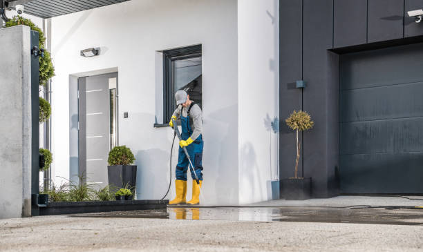 Best Building Exterior Washing  in Gonzales, LA